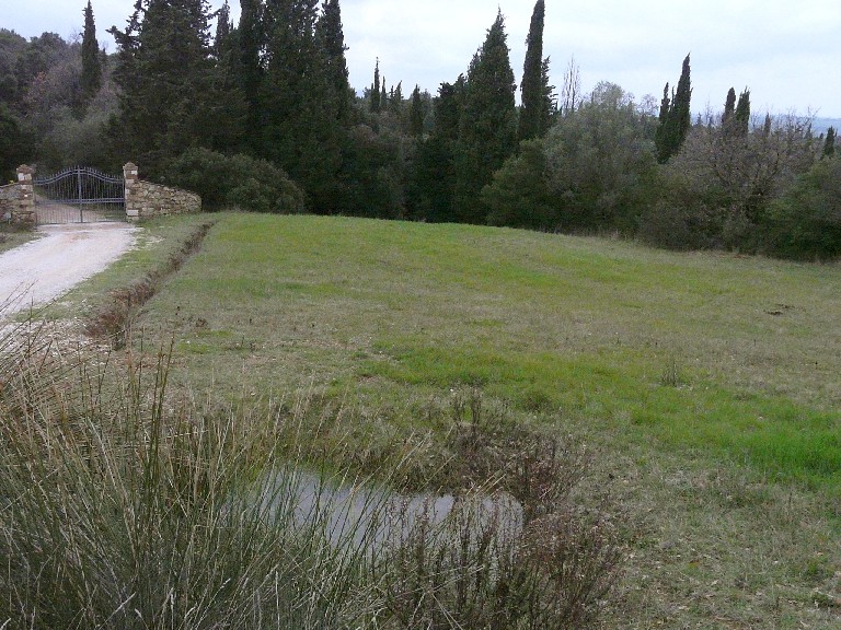 In un podere vicino Massa Marittima (GR)